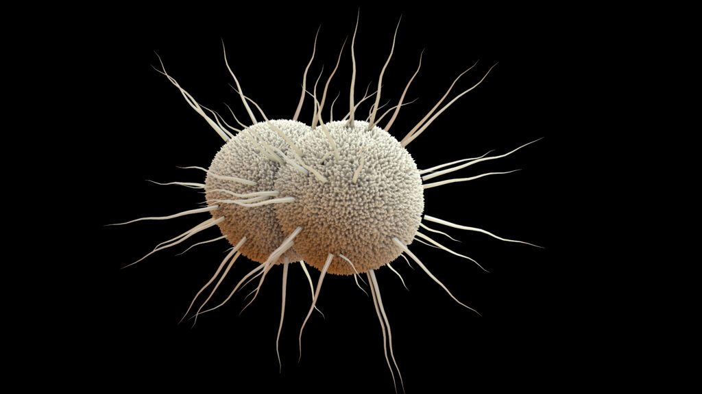 HelenBranswell's tweet card. The use of the antibiotic doxycycline to reduce STIs appears to be fueling some antibiotic resistance, according to new research.