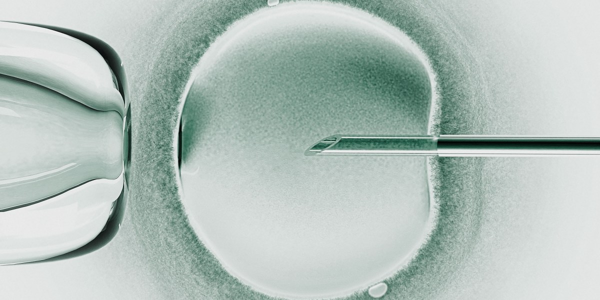 techreview's tweet card. This is today’s edition of The Download, our weekday newsletter that provides a daily dose of what’s going on in the world of technology. Researchers announce babies born from a trial of three-person...