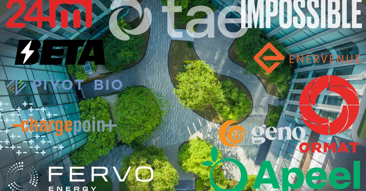 RedwoodMat's tweet card. TIME and Statista have named 250 companies reducing environmental impact