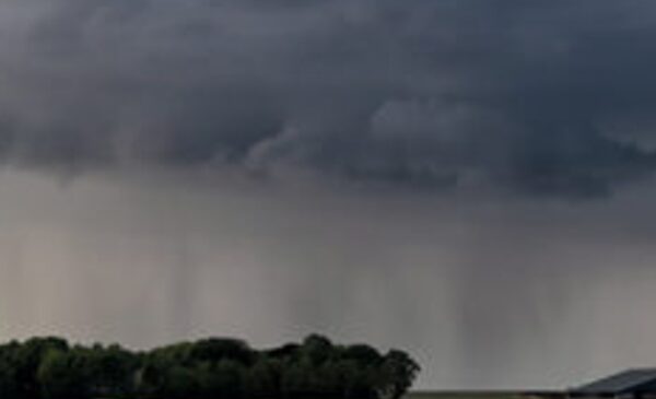 BRNAgNews_KH's tweet card. A northeast Nebraska farmer says timely rains continue to help crop conditions improve. Quentin Connealy says moisture is coming at a critical time. “We’re getting by really good. The moisture probes...
