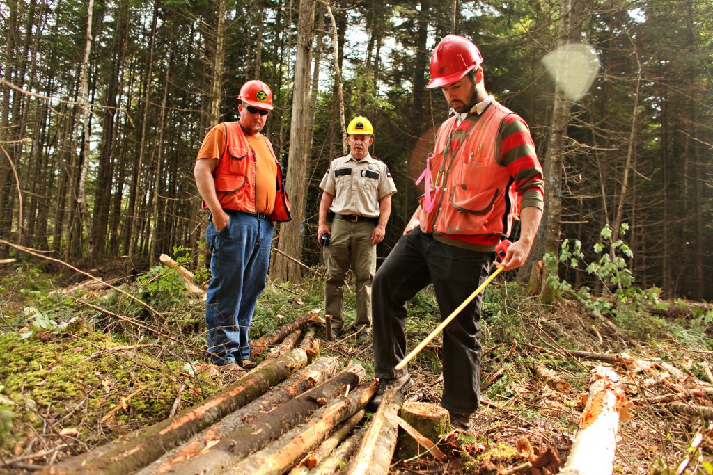 WeAreSUFC's tweet card. EVERY STATE HAS A FOREST ACTION PLAN. Your state’s Forest Action Plan includes in-depth analysis of forest conditions and trends in your area. Click on the map below to learn […]