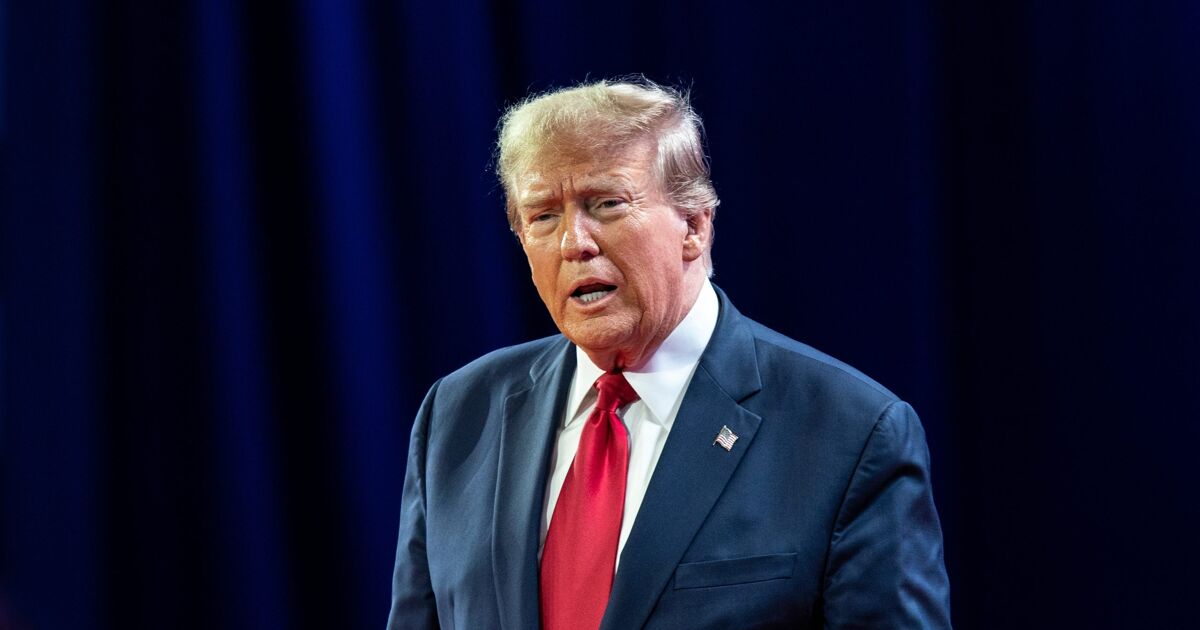 lgbtqnation's tweet card. Could the Epstein debacle be Donald Trump's downfall?