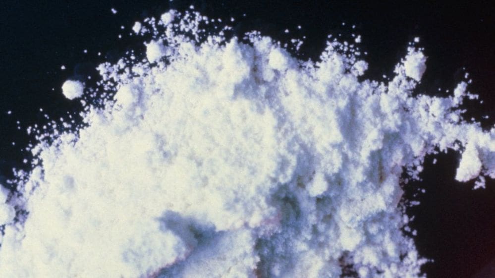 TexasScorecard's tweet card. A total of 140 pounds of cocaine was seized in a matter of two days at two separate ports of entry.