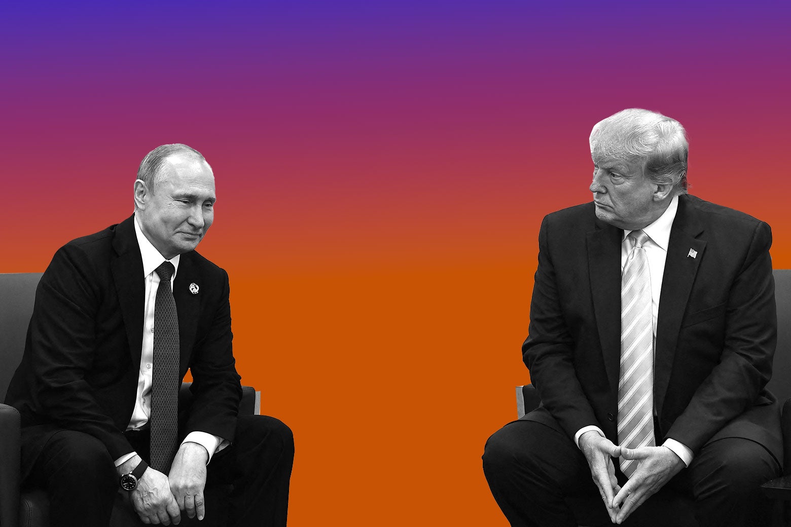 FSIStanford's tweet card. "Vladimir, STOP!”