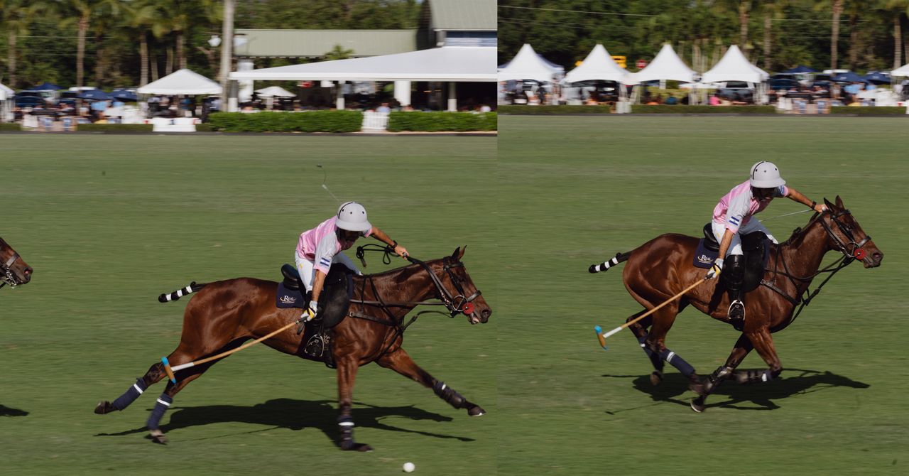 sundaylongread's tweet card. A polo legend and a businessman joined forces to copy the player’s greatest horse. But with a single clone worth $800,000, some technologies are a breeding ground for betrayal.