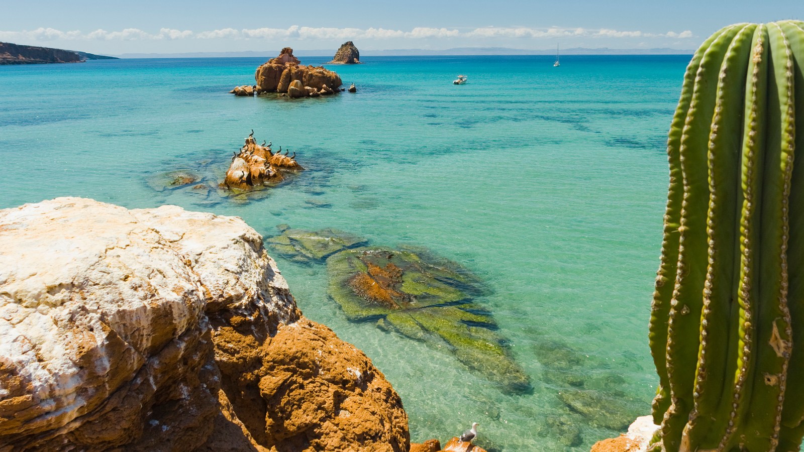 AlaskaAirNews's tweet card. We're flying ten new nonstop routes from the West Coast to top winter destinations, starting today! Highlights include flights from Los Angeles to La Paz, Mexico, and connecting places like Fresno to...