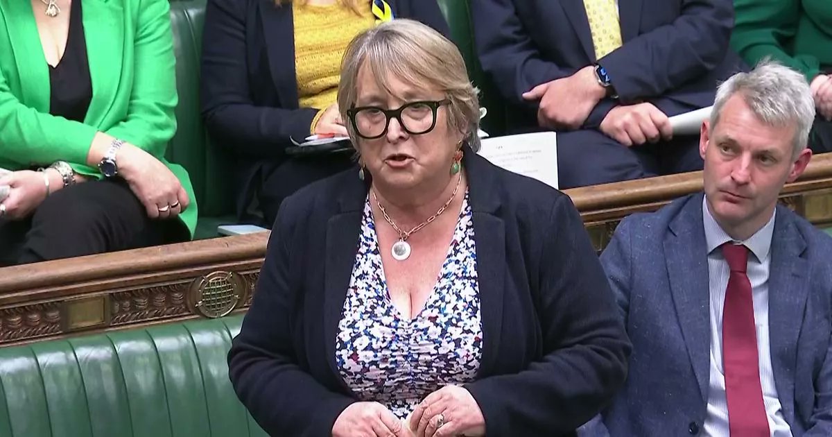 AndrewJQuinn97's tweet card. Christine Jardine said not voting against the amendment to slash benefits for mental health conditions was "unpalatable" because of her late husband's bipolar disorder.