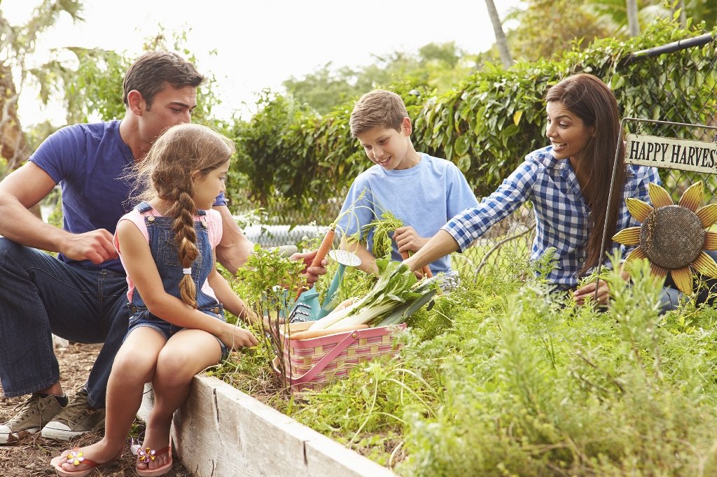 TheMAHA_Report's tweet card. In this powerful essay from the MAHA Institute Roundtable, writer and poet Teddy Macker explores how restoring health in America requires a return to reverence, responsibility, and holistic vision—...