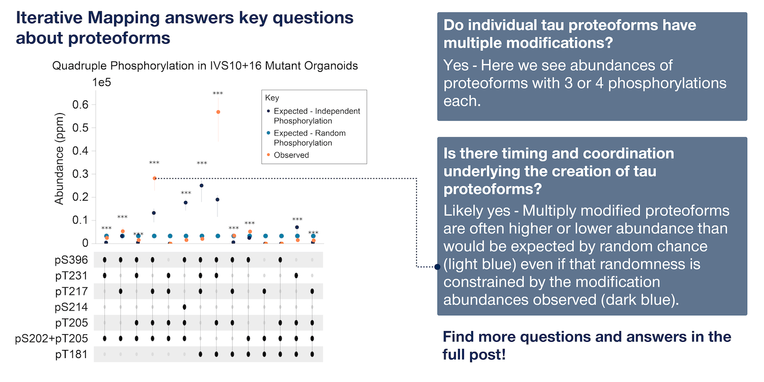 NautilusBio's tweet card. Learn how Iterative Mapping shows on the Nautilus Platform shows there is a likely order and timing to the creation of tau proteoforms.
