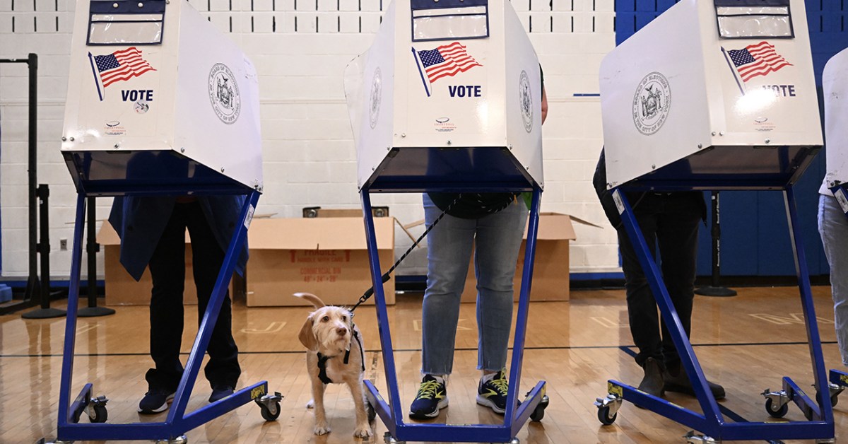 DrSchwertner's tweet card. Pew Research Center’s in-depth study of its survey respondents who voted in the 2024 election examines turnout, voting patterns and demographics.