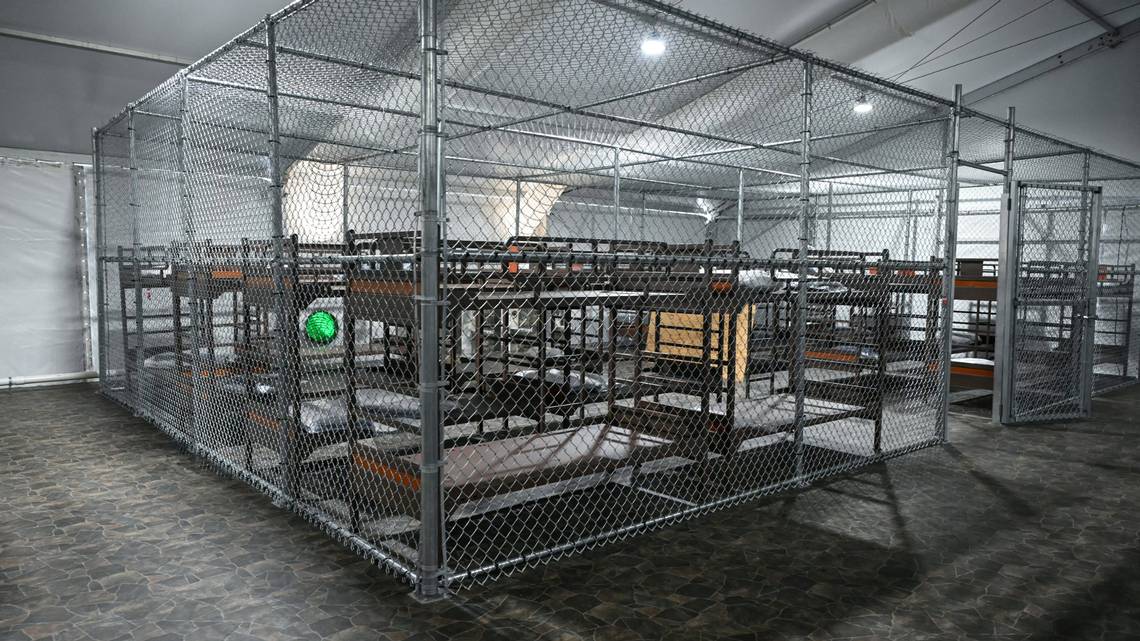 clurhealy's tweet card. “Immediate action was taken to separate and remove the detainee in accordance with federal protocols,” said Stephanie Hartman, a spokeswoman for the Florida Division of Emergency Management, which...