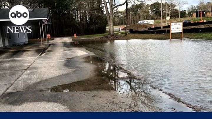 BuzzLover017's tweet card. Dr. Robert Bullard is often referred to as the “Father of Environme… Robert D. Bullard needs your support for Support Dr. Robert Bullard Shiloh, AL Flood Fund
