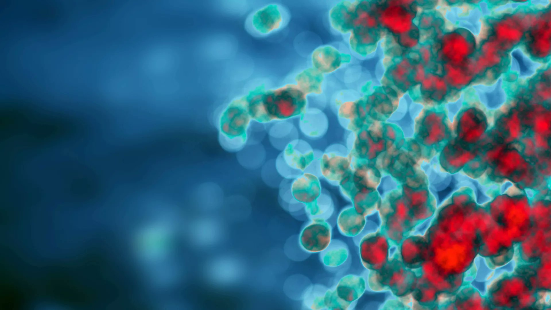 FrontImmunol's tweet card. BackgroundThe progression of cancer cells is influenced by the tumor microenvironment (TME); however, the molecular mechanisms driving the progression of eso...