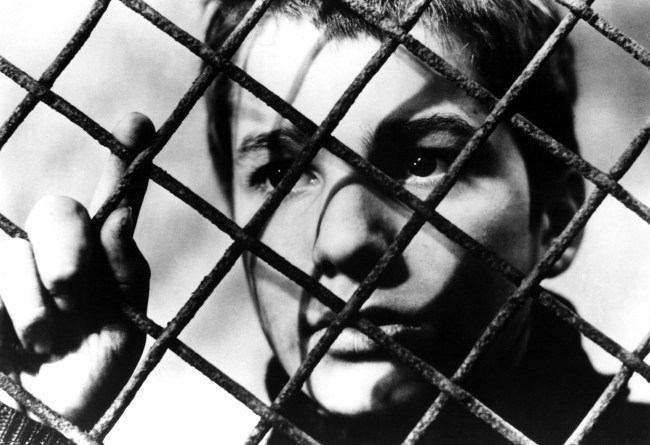 JimmyHemphill's tweet card. Criterion's 'The Adventures of Antoine Doinel' provides a new opportunity to revisit François Truffaut and Jean-Pierre Léaud's greatest creation.