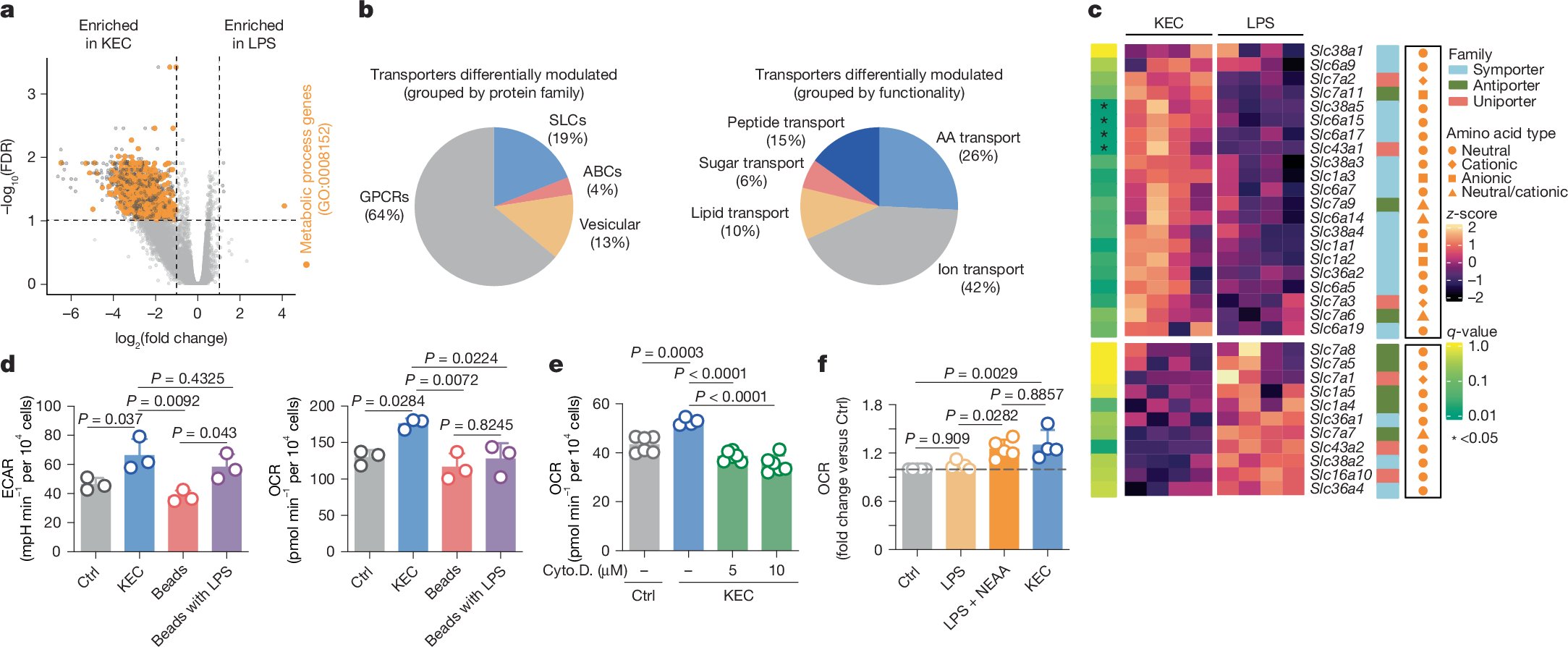 Brenner_Lab's tweet card. Nature - Phagocytosed bacteria can serve as an alternative nutrient source for macrophages, influencing their metabolic and immune responses through the recycling of microbial components, with the...