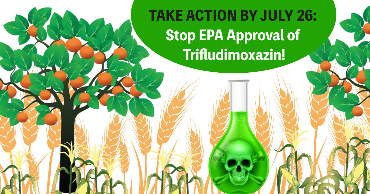 MaryPatGallaghe's tweet card. After being chased off the market in 2022 by the legal eagles at the Center for Food Safety, BASF’s trifludimoxazin-based Tirexor weed killer is being given another chance by Trump’s Environmental...