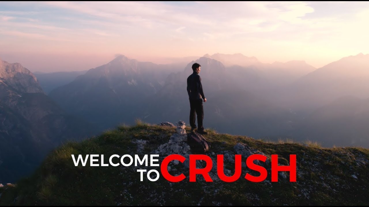 WebMaxMobile's tweet card. CRUSH - Business Overview