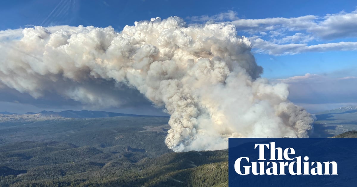 JimLabisko's tweet card. Representatives at the Cop16 summit in Colombia negotiated against a backdrop of extreme weather and ecosystem collapse