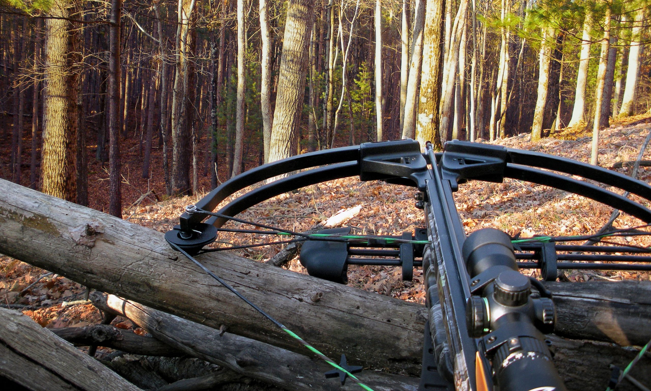 CapPressRoom's tweet card. Environmentalists are hoping the governor will sign legislation overwhelmingly approved in June that is designed to expand the proliferation of crossbows.
