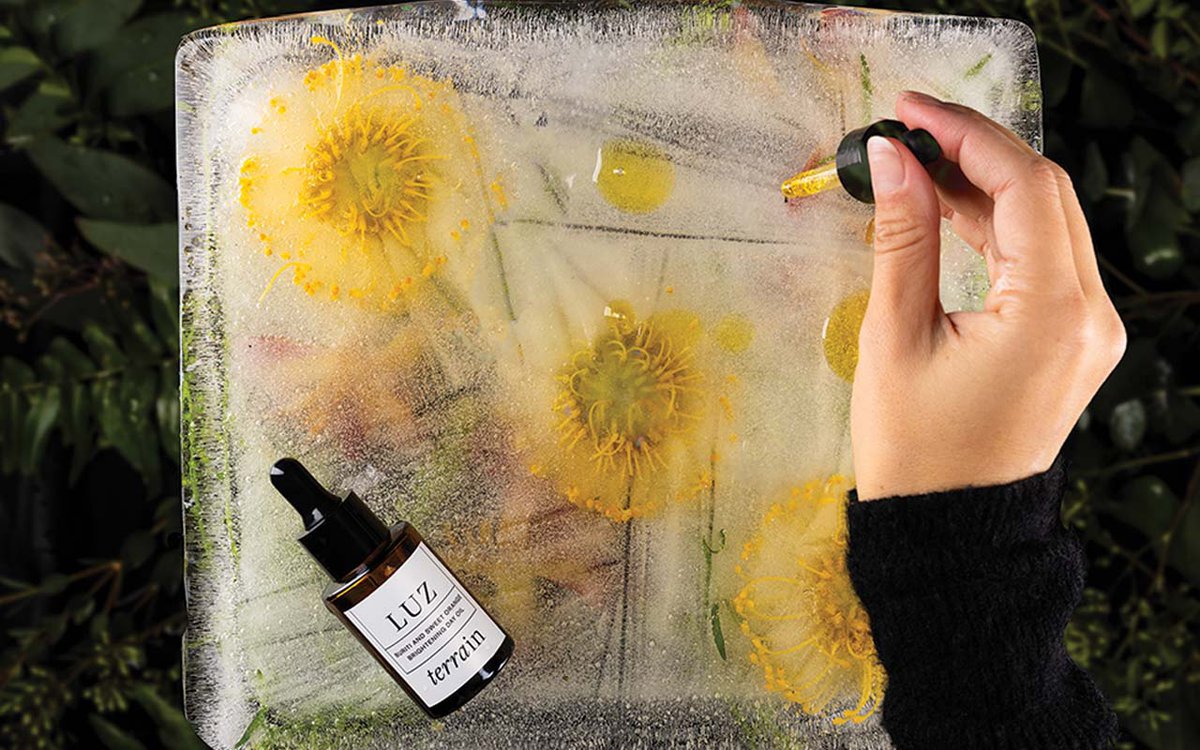 mspmag's tweet card. A personal calling started a journey to entrepreneurship for the local skin care creator behind Terrain Brazilian Botanicals.