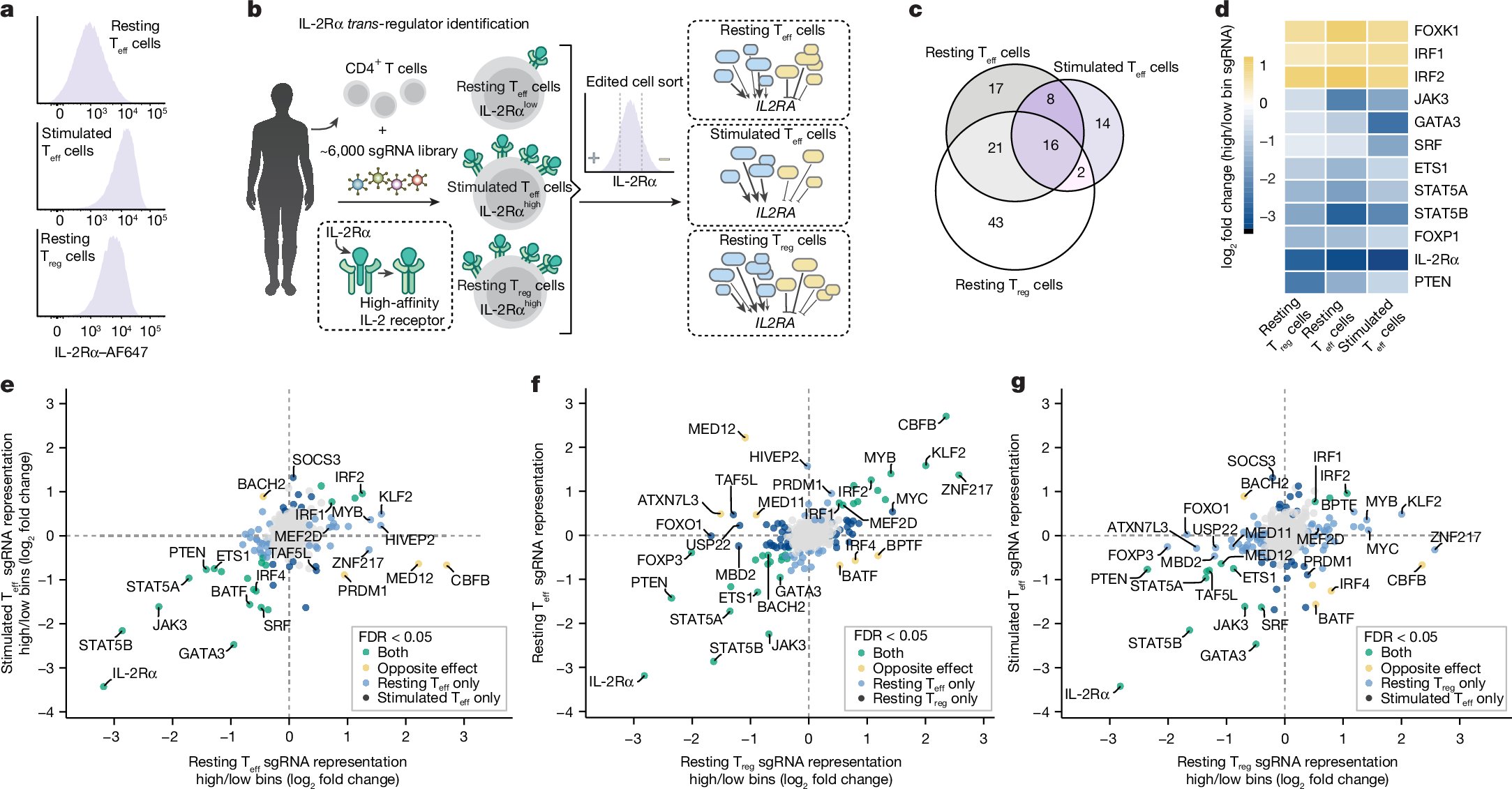 maya_m_arce's tweet card. Nature - Resting and activated T cell states are established by context-specific regulators and dynamic gene circuits.