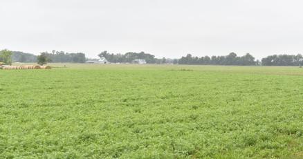 purdueexponent's tweet card. Rainbow Trout Solar, a utility scale project, is coming to West Lafayette, but not without controversy. Proponents of the project are excited to see more renewables, but opponents worry how the...