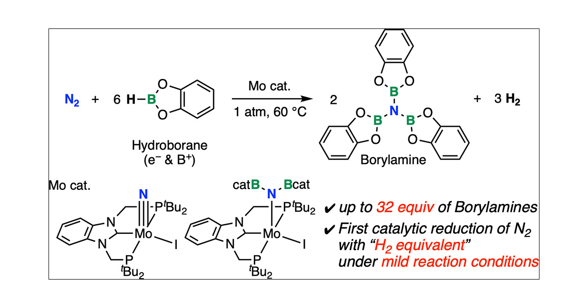 Green_Catalysis's tweet card. The conversion of dinitrogen (N2) into ammonia (NH3) or other nitrogenous compounds under mild conditions remains highly desirable, given the extremely harsh conditions required by the typically...