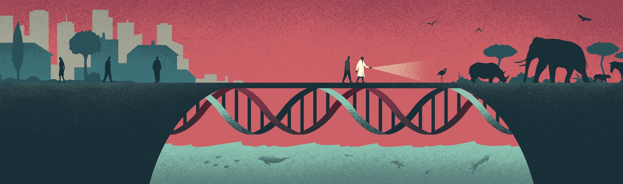eLife's tweet card. eLife reviews research including the genetic basis of health and disease, epigenetics, genomics, medical genetics, genetic epidemiology, and population genetics. Learn more about what we review and...