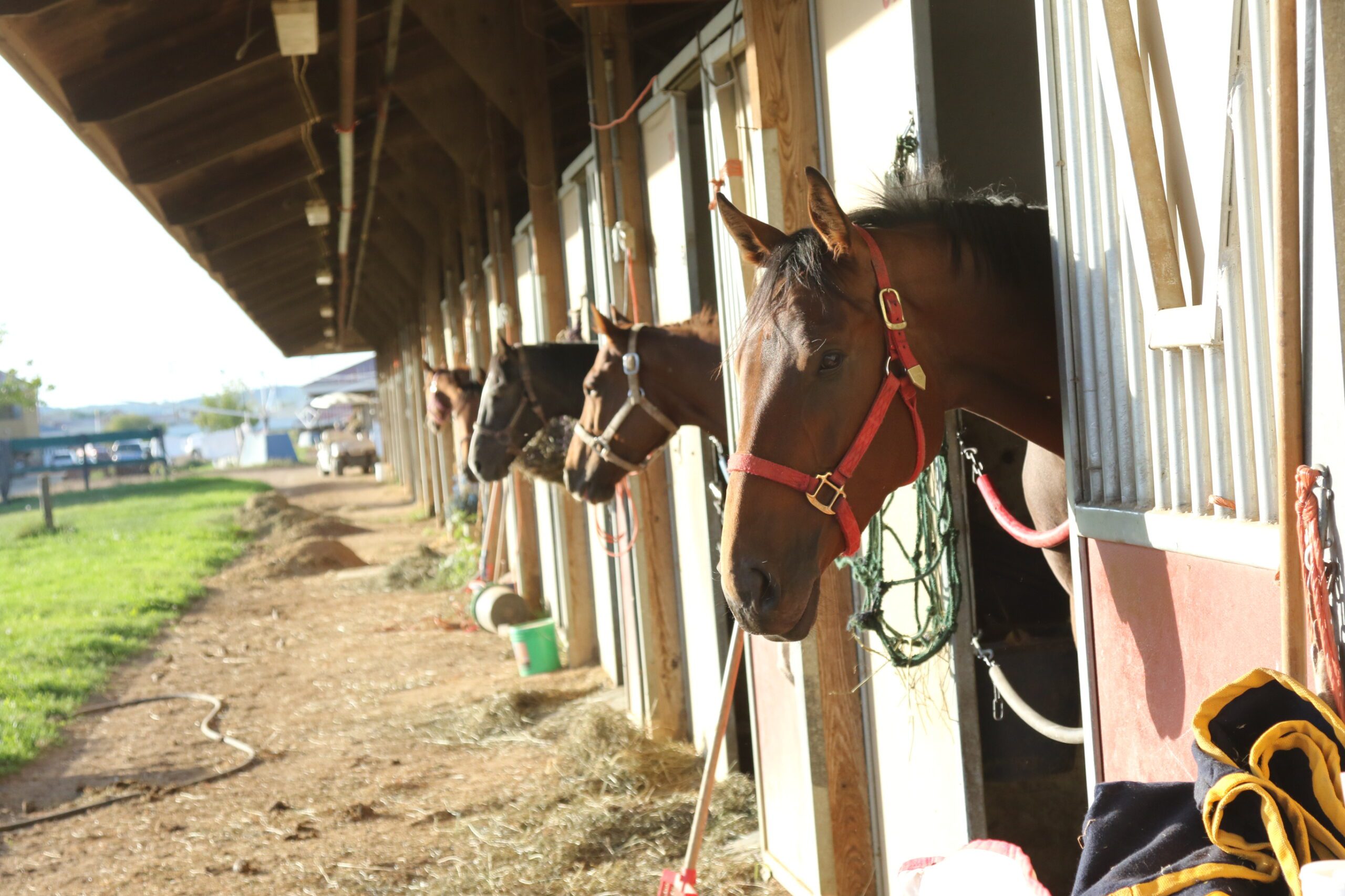HIWUNews's tweet card. The Horseracing Integrity & Welfare Unit (HIWU) is the official, independent enforcement agency and oversees Thoroughbred drug testing.