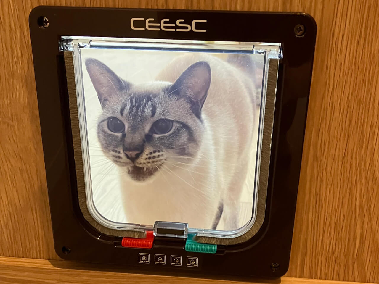 CAT_PRESS's tweet card. 扉や壁などの低い位置に出入口を設けて、猫が通れるようにする猫ドア。猫が好きな時に自由に空間を行き来できるだけでなく、人間が猫のために都度ドアを開け閉めする手間も省ける実用的なアイテムです。しかし猫ちゃんによっては…