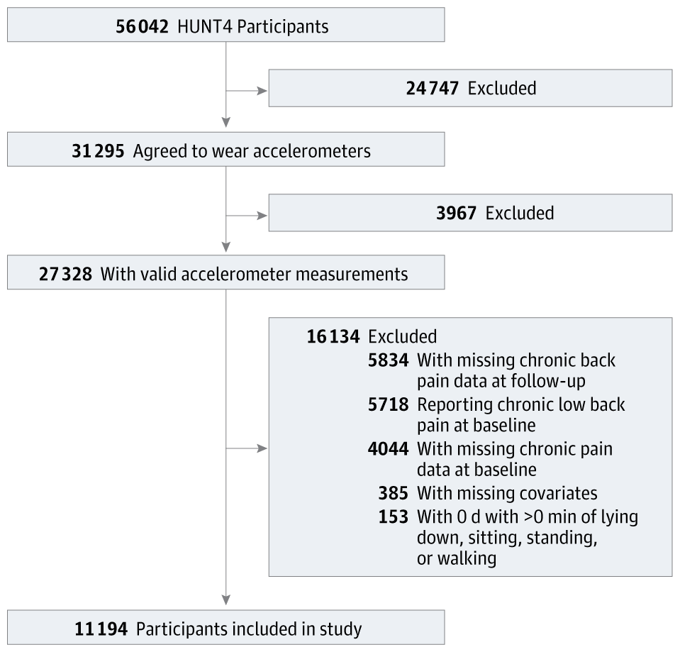 MatthewRehrl's tweet card. This cohort study examines whether daily walking volume and walking intensity are associated with the risk of chronic lower back pain.