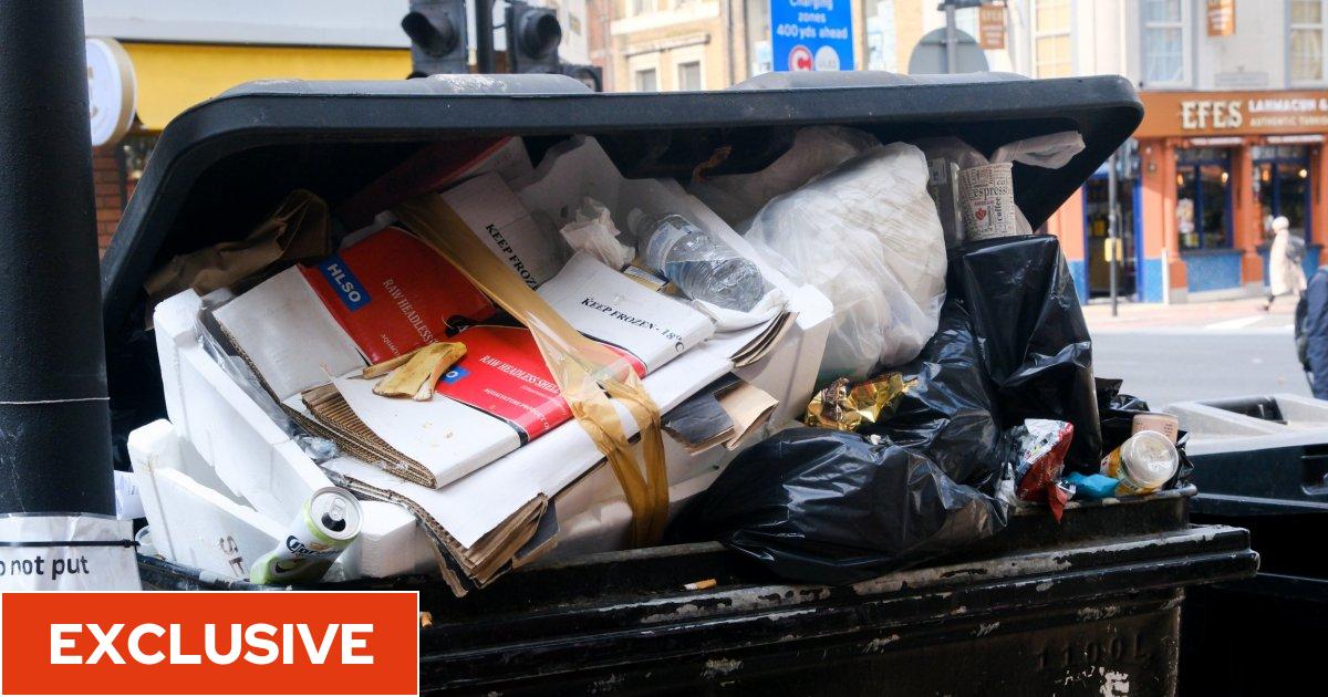 Euanobm's tweet card. Pest control experts warned that 'any move' to reduce the frequency of bin collections could 'spell big problems for householders'
