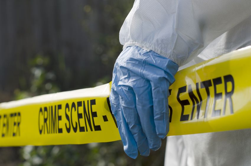 TimesLIVE's tweet card. Xoliseka Lali, chief whip of the Emalahleni local municipality in the Chris Hani district municipality in the Eastern Cape, was shot dead in Komani (Queenstown) on Tuesday.