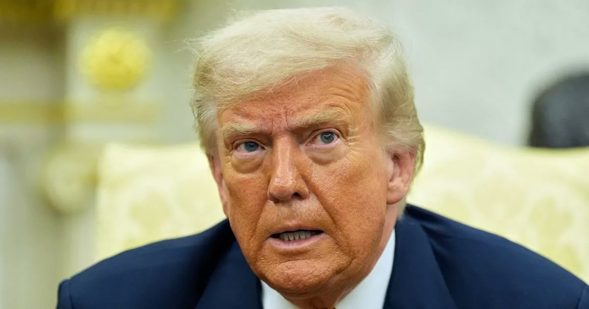 DEGB76's tweet card. Donald Trump's nephew Fred confirmed that his uncle and the Unabomber did not cross paths, sparking eye rolls from individuals on twitter as full truth comes out