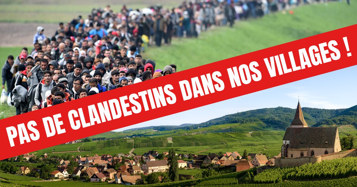 juste_ded's tweet card. Signez la pétition maintenant !