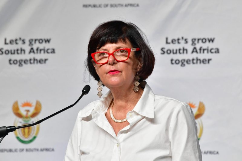 LibertarianZA's tweet card. The transport department has admitted it is concerned about the financial impact of extending the driving licence card validity period from five to eight years.
