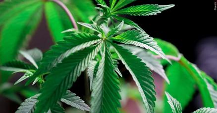69News's tweet card. Following a spirited discussion, Reading City Council said it will soon vote on a proposed ordinance to decriminalize possession of a small amount of marijuana.