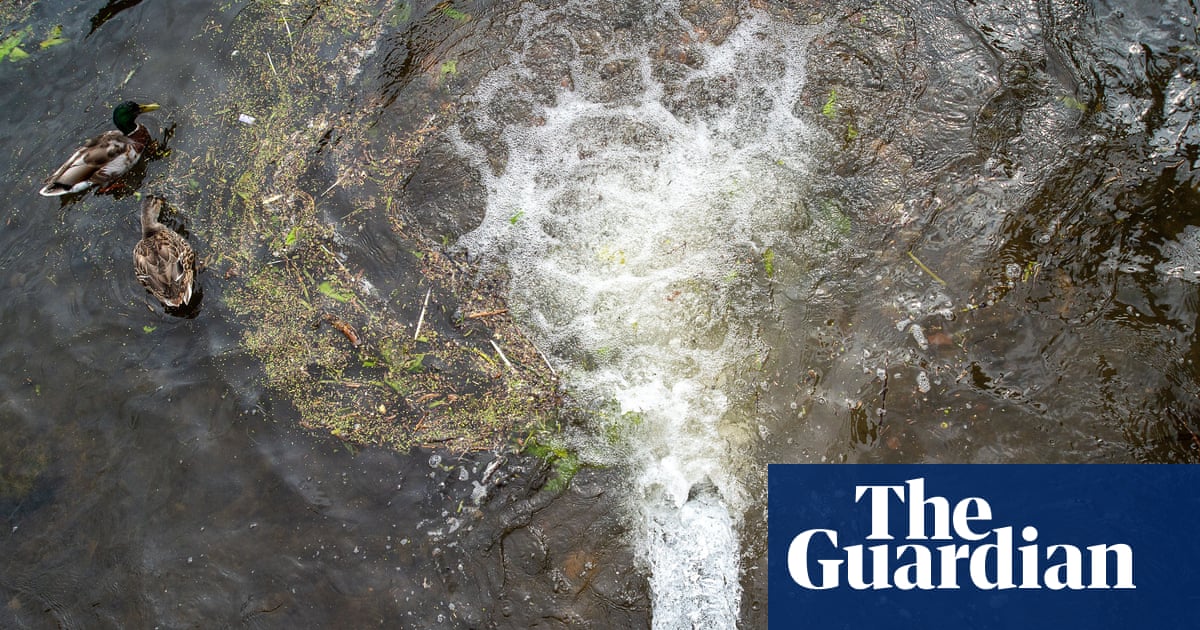 SOSWhitstable's tweet card. Employees of water firms who obstruct investigations into spills could face jail under new rules that come into force on Friday