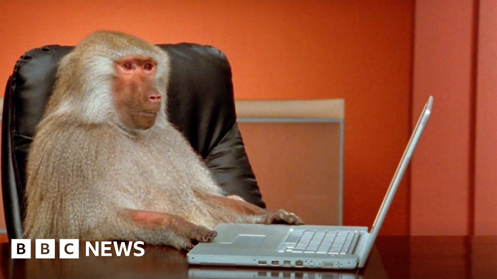 RebaySalisbury's tweet card. Australian researchers have poked holes in an old thought-experiment known as the "infinite monkey theorem".