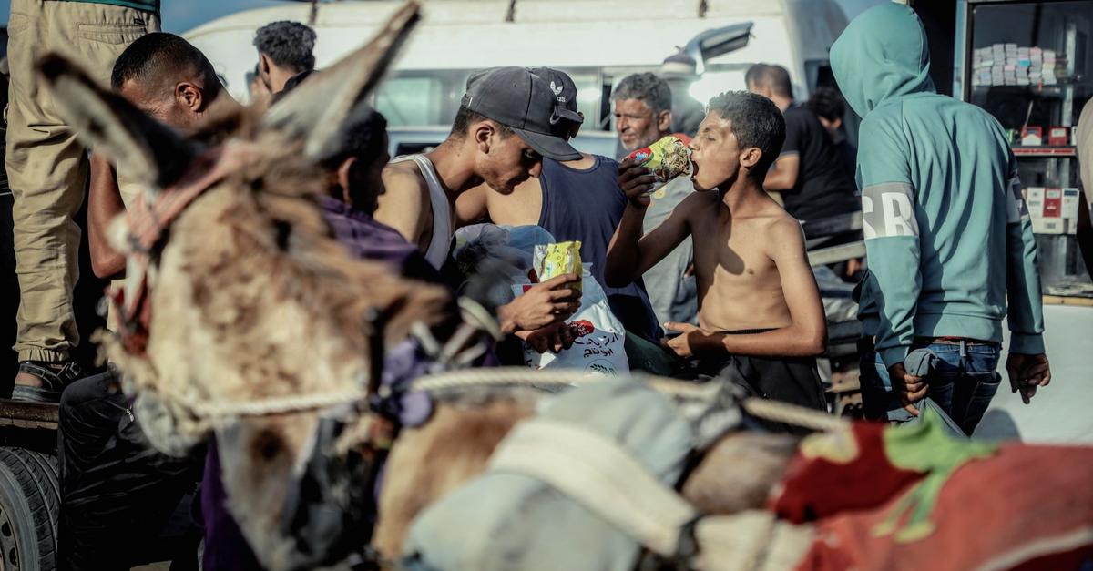 QantaraEN's tweet card. In Gaza, survival now means facing not only bombs but also starvation. As some Palestinians risk their lives to receive aid from the Gaza Humanitarian Foundation, others turn to desperate measures to...