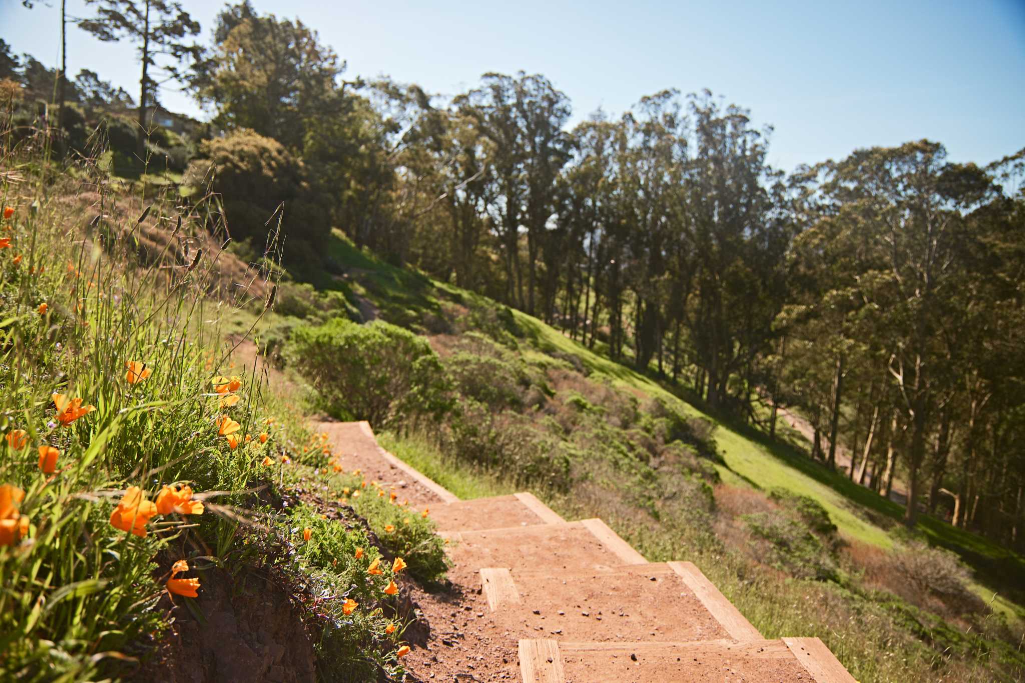 peterhartlaub's tweet card. These under-the-radar S.F. parks offer wide open spaces, astounding views, urban beachfront and welcome solitude.
