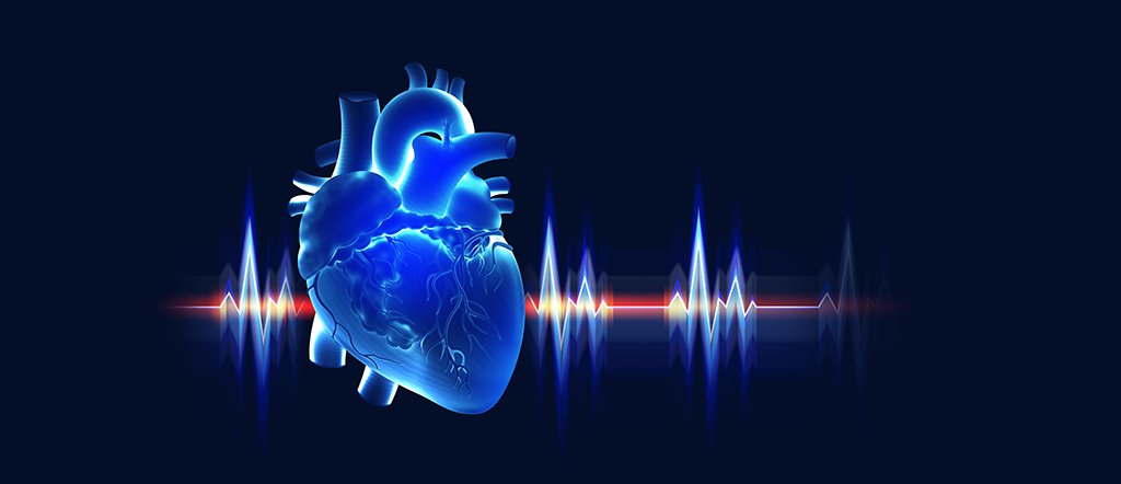 ThePhySoc's tweet card. Cross-Talk of Cells in the Heart 2025, an exciting two-day meeting at University of Birmingham (UK) to discuss the latest breakthroughs in cardiac arrhythmia and disease research. Join us