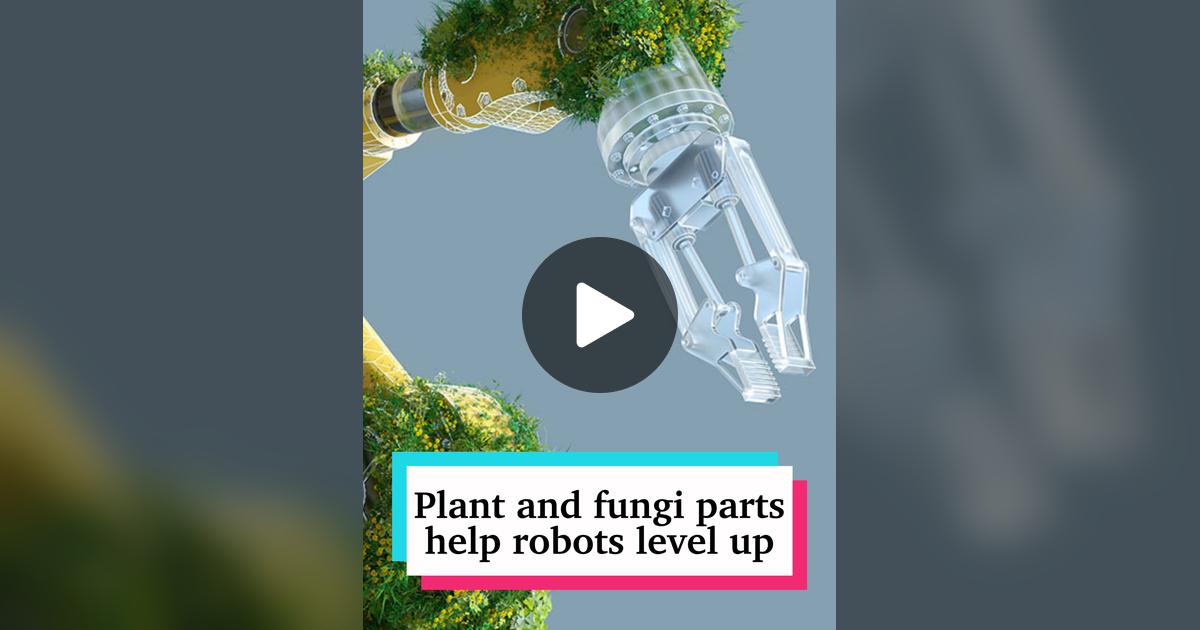aarontremper's tweet card. 89 likes, 5 comments. “Fusing machines with plants and fungi isn’t just sci-fi. A new generation of biohybrid robots could someday help in agriculture or energy production. These biohybrid life-forms...