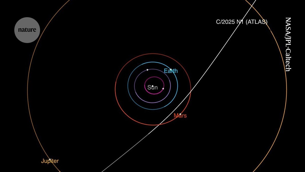 mvugt's tweet card. Nature - The comet-like body — called 3I/ATLAS or C/2025 N1 — is zipping past Jupiter.