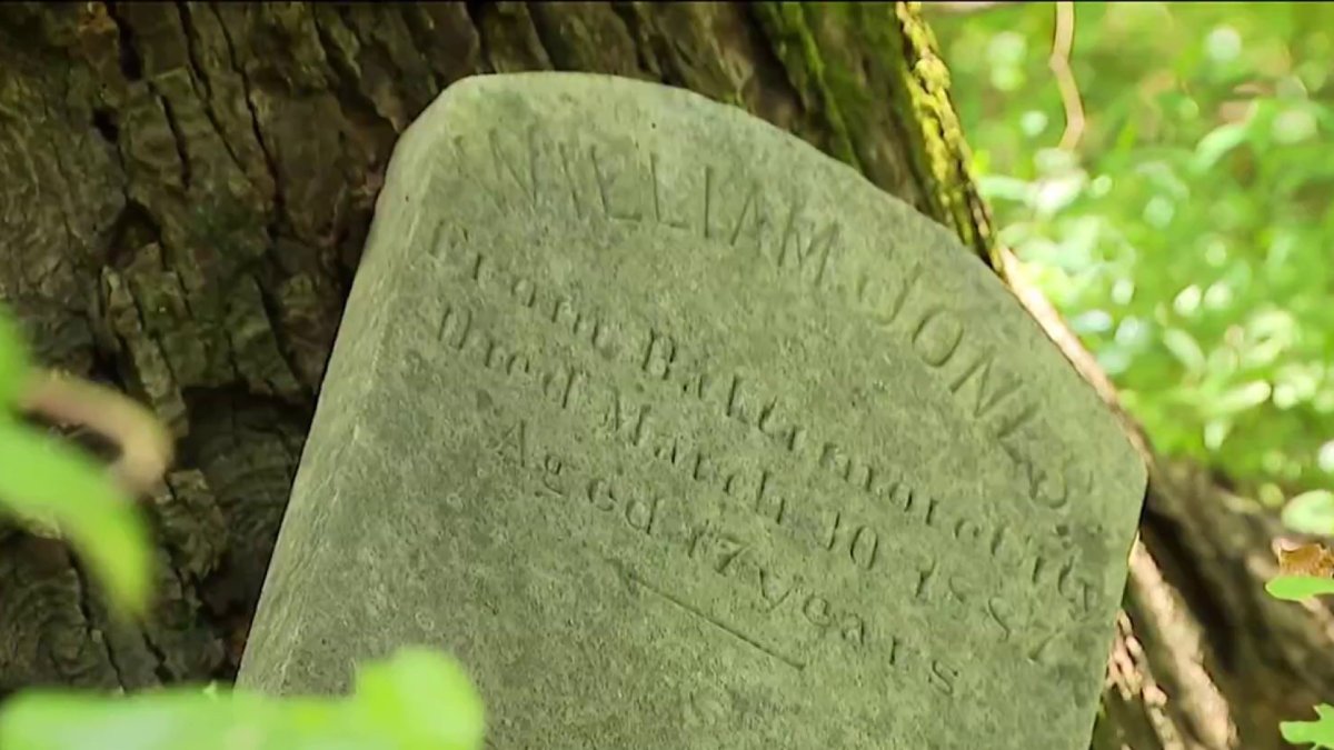 Willcsmithjr's tweet card. A cemetery for African American children is gaining attention after more than 100 years in Prince George’s county.
