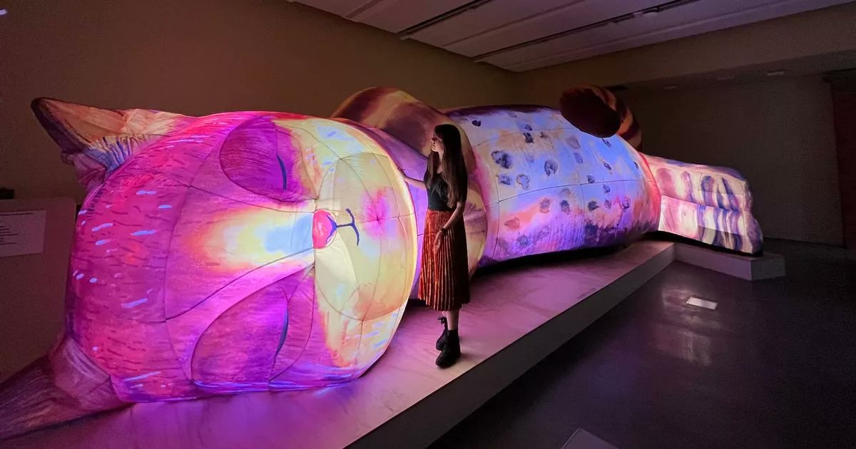 diannebourne's tweet card. It is billed as the museum's "most imaginative exhibition yet" and visitors are encouraged to tickle, hug and rub the giant cat