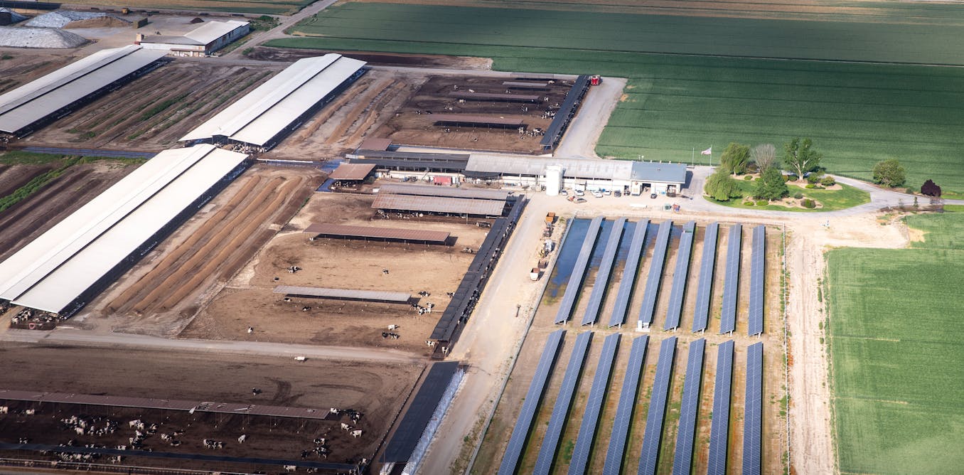 SEIA's tweet card. Solar is helping farmers in California save water and secure reliable income in the face of drought and economic pressure.