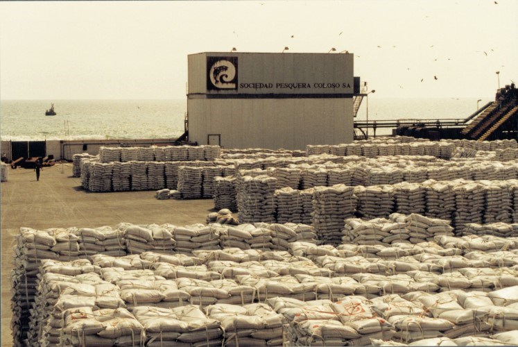 TheGAAIA's tweet card. Chilean prosecutor alleges 12-year price-fixing scheme by salmon feed producers. Chile’s National Economic Prosecutor’s Office (FNE) has asked the country’s competition tribunal to impose the maximum...