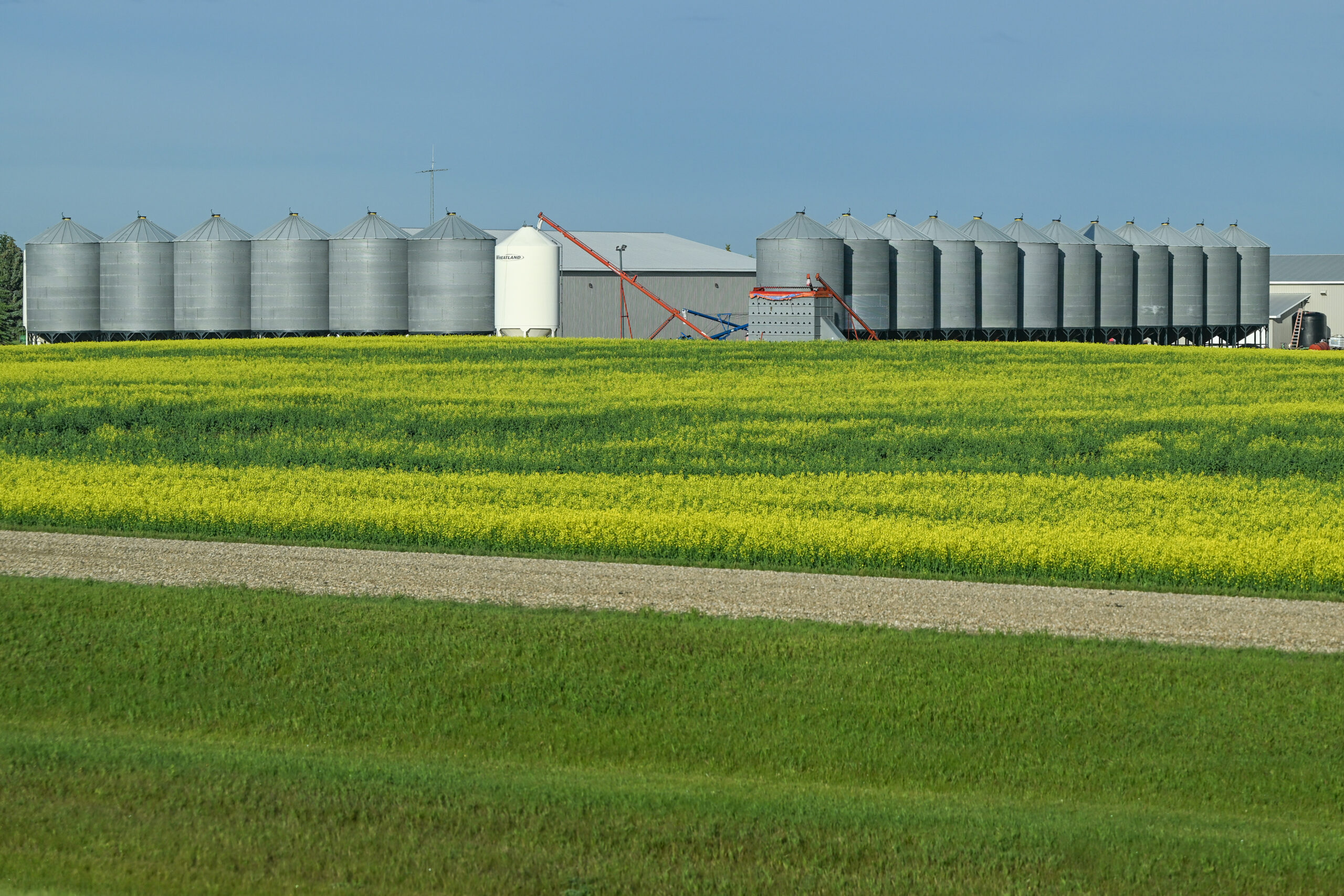 SShahidsaless's tweet card. Policymakers and business leaders will need to make significant progress across four specific areas to propel Canadian agriculture forward.