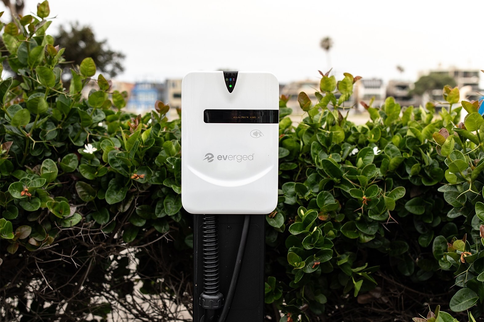 EVChargStations's tweet card. EVerged and AMPECO announce a strategic partnership with a plan to deploy over 5,000 charging points within 2 years across public & private networks in the US.